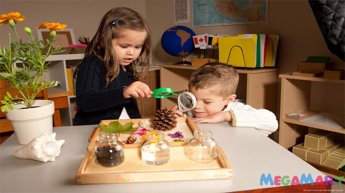 5 điều tuyệt vời nhất của phương pháp giáo dục Montessori - Trẻ được phát triển toàn diện tự do khám phá và tìm hiểu về sở thích cá nhân