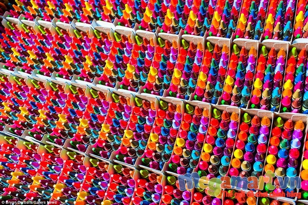 Khám phá nhà máy sản xuất bút màu Crayola đầy màu sắc - Những cây bút màu Crayola sau khi được đóng đầy đủ vào hộp