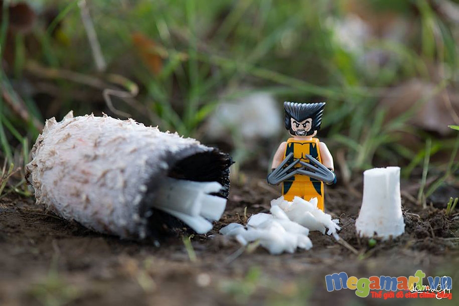 Đổ hết ra rồi lại phải thu dọn lại thôi