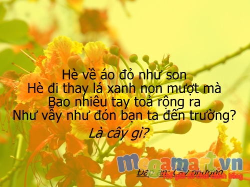 Rèn luyện trí thông minh cho bé bằng những câu đố dân gian 4