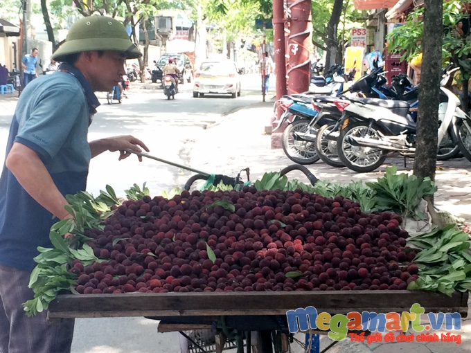 Trên khắp đường phố rất nhiều xe chở thanh mai bán mọi nơi