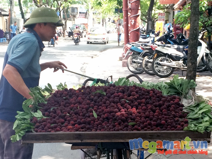 Trên khắp đường phố rất nhiều xe chở thanh mai bán mọi nơi