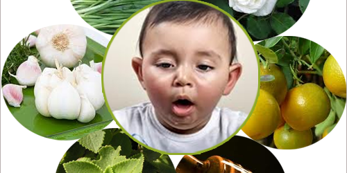 Từ giờ bố mẹ không phải lo tìm mọi cách khi bé bị ho nữa