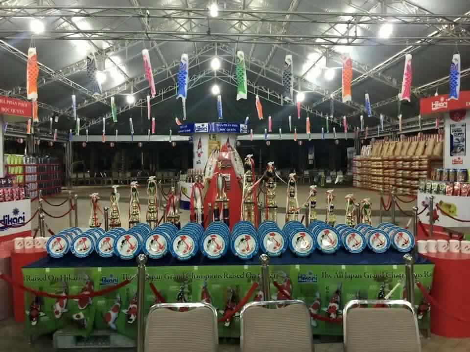 Young Koi Show 2015