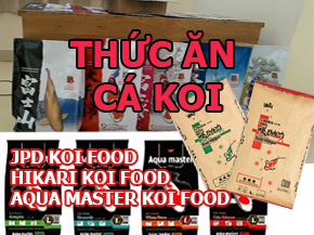 thức ăn cá koi