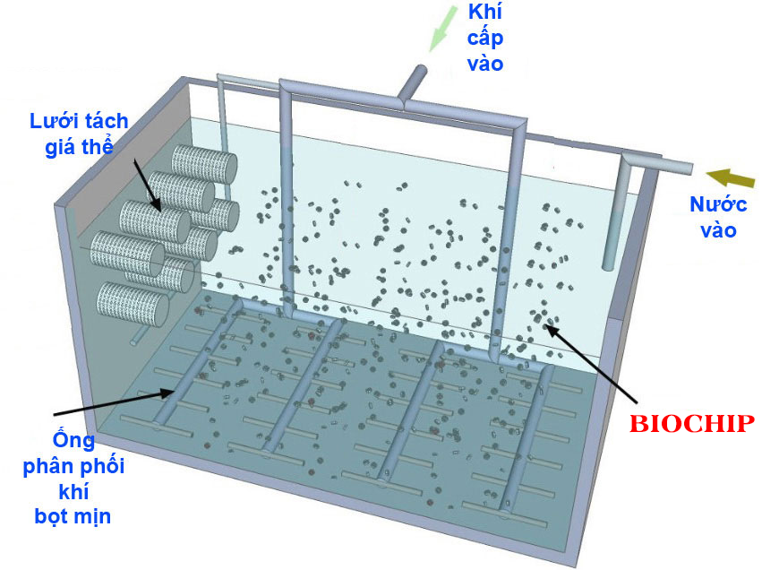 biochip lọc nước hồ cá koi