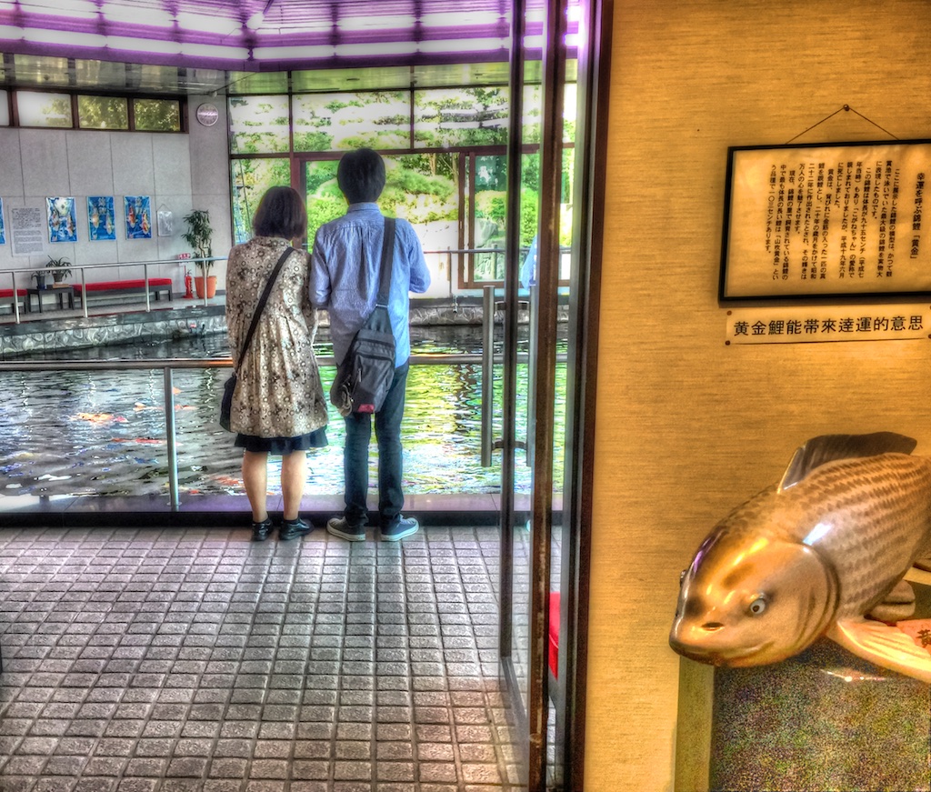 Bảo tàng cá Koi