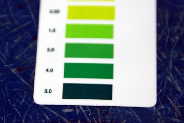 chat luong nuoc khong to gay stress cho ca koi