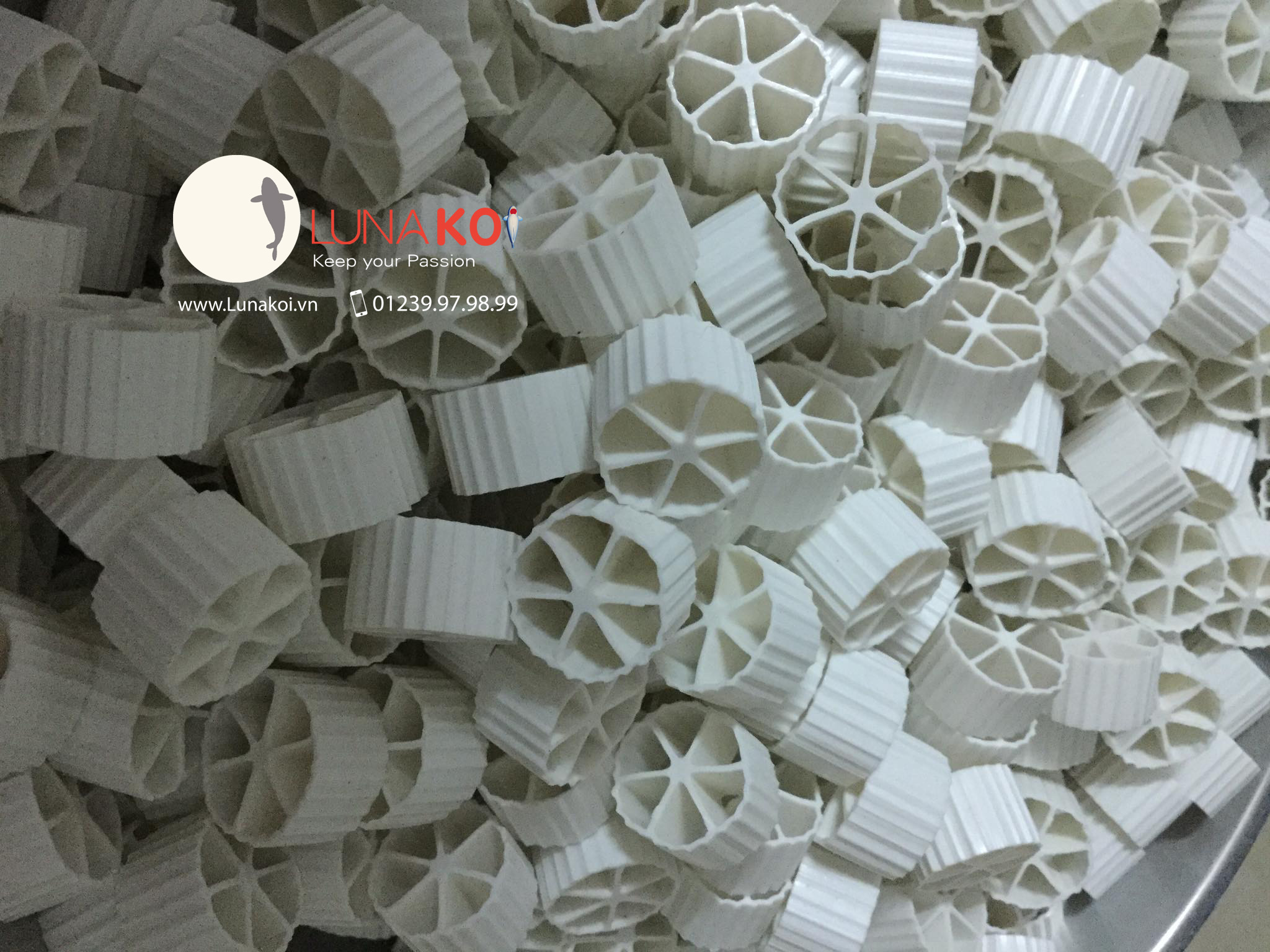 Tác dụng của hạt lọc Kaldnes và cách lắp đặt vào hệ thống lọc hồ cá Koi