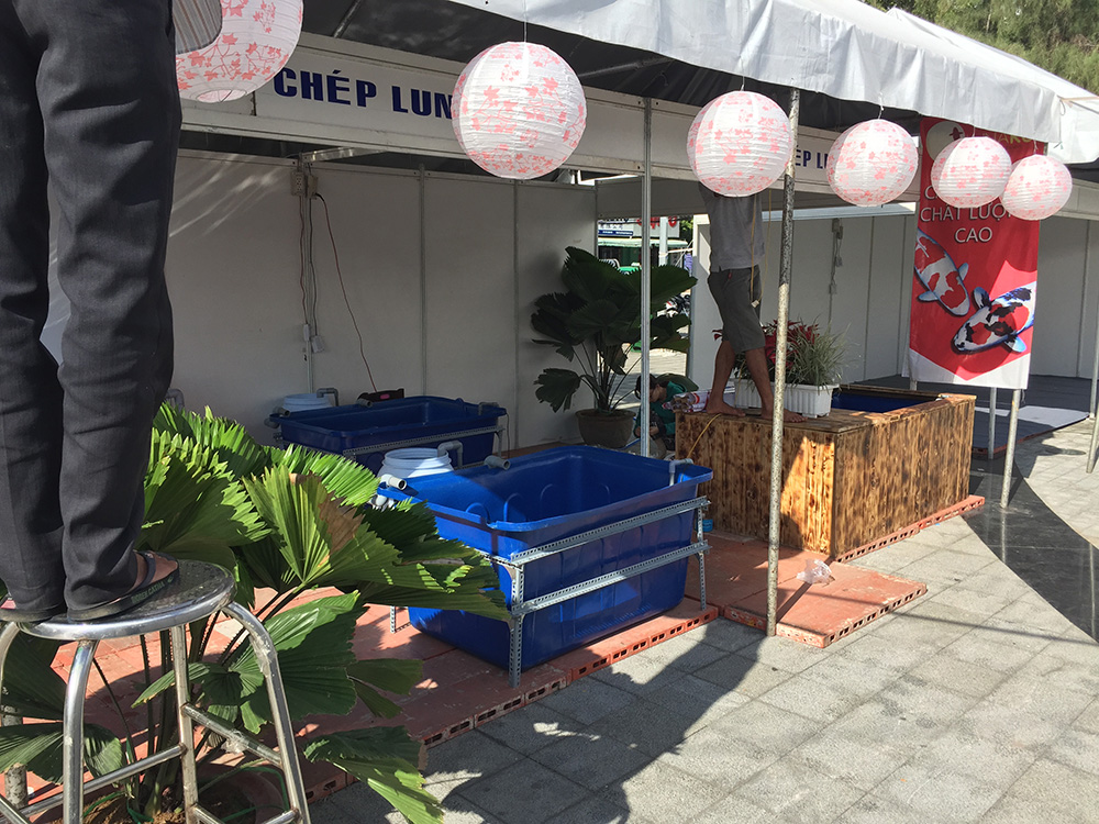 lễ hội văn hóa việt nhật