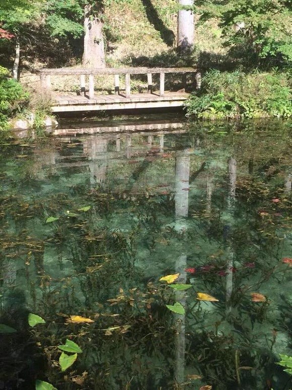 Monet's Pond