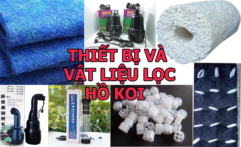 vật liệu lọc hồ cá koi