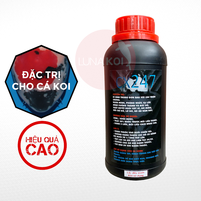 cx247 đặc trị trùng bánh xe Trichodina cá Koi