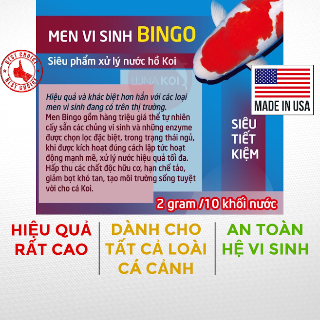 men vi sinh bingo cho hồ cá koi