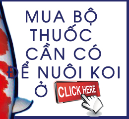 Thuốc Phòng và Trị bệnh Koi