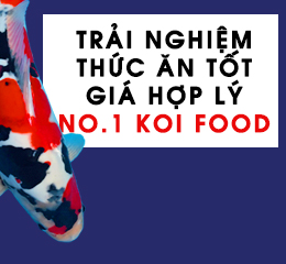 Thức ăn No.1 Việt Nam
