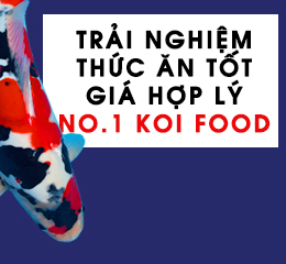 Thức ăn cá Koi