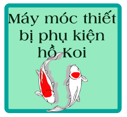 Phụ kiện hồ cá Koi