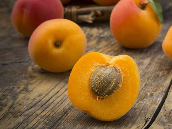 nhân bánh trung thu thịt quả mơ tây