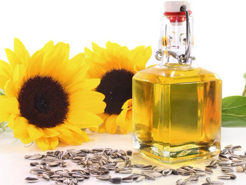Liệu ăn dầu hướng dương có tốt không?