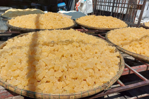 đường phèn vàng Quảng Ngãi