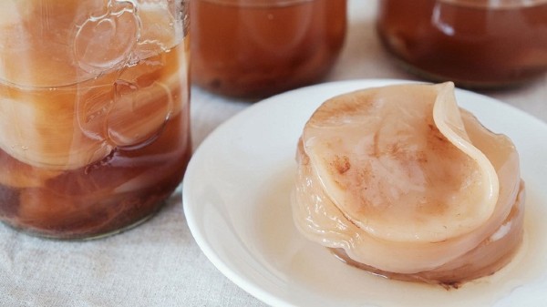 Kombucha là gì? Tìm hiểu tất tần tật về KOMBUCHA