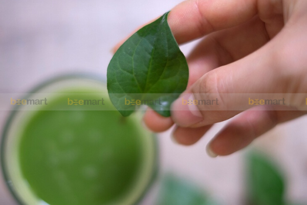 Công dụng của trà riếp cá