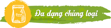 Dịch vụ