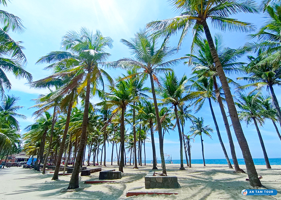 Bãi biển Cửa Đại