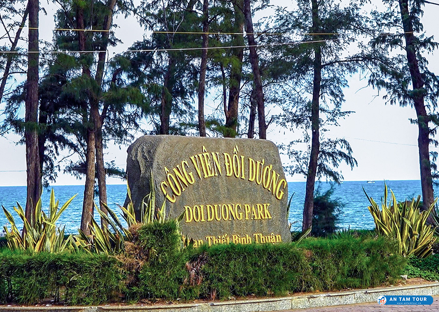 Bãi biển Đồi Dương