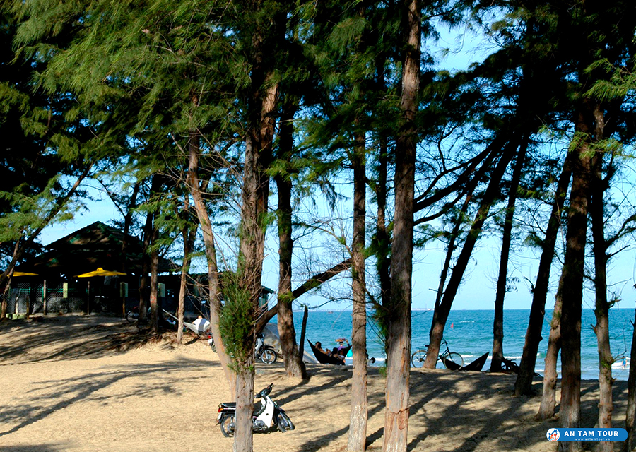 Bãi biển Đồi Dương