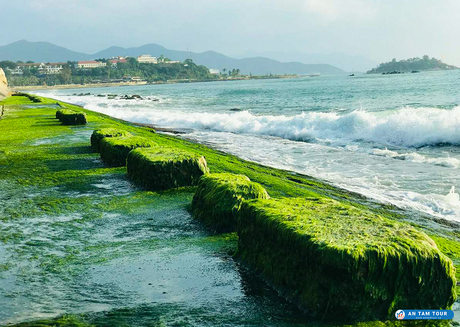 Bãi Rêu Nha Trang