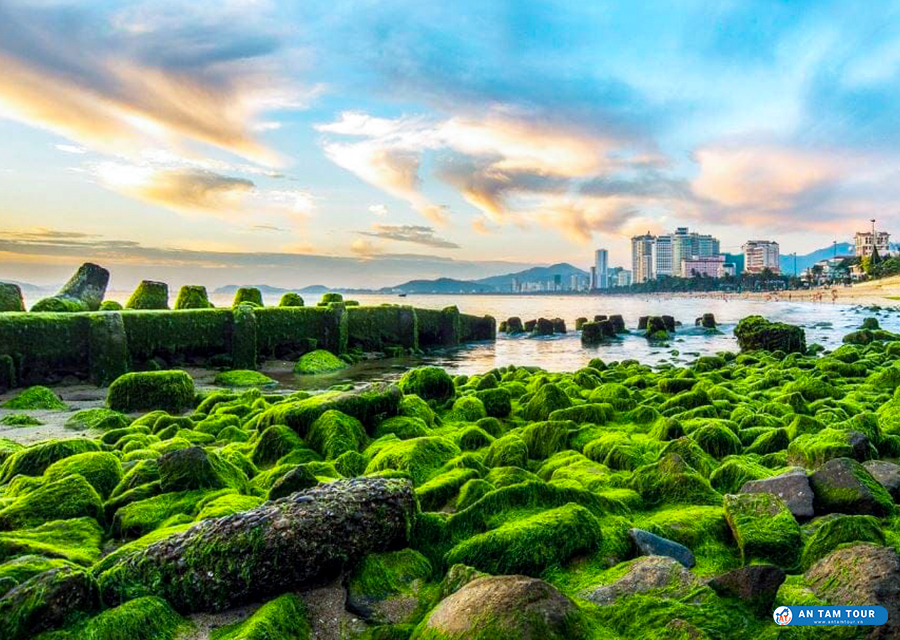 Bãi Rêu Nha Trang