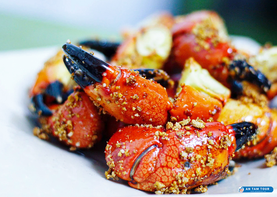 Cù Kỳ Biển Trà Cổ