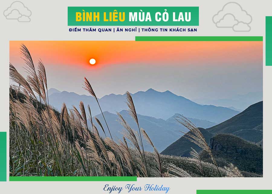 Bình Liêu mùa cỏ lau