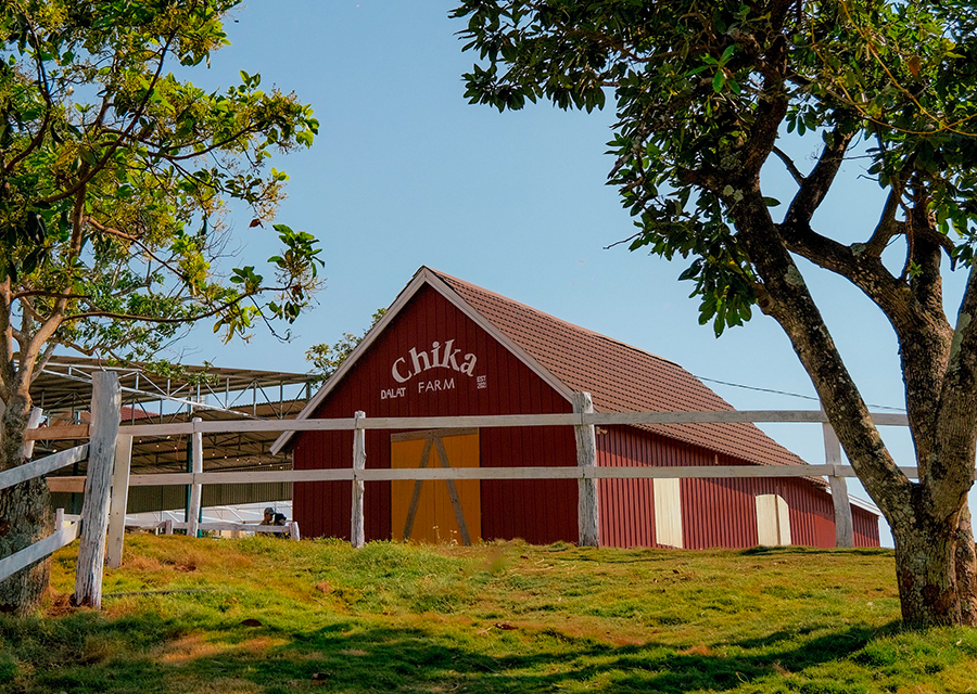 Chika Farm