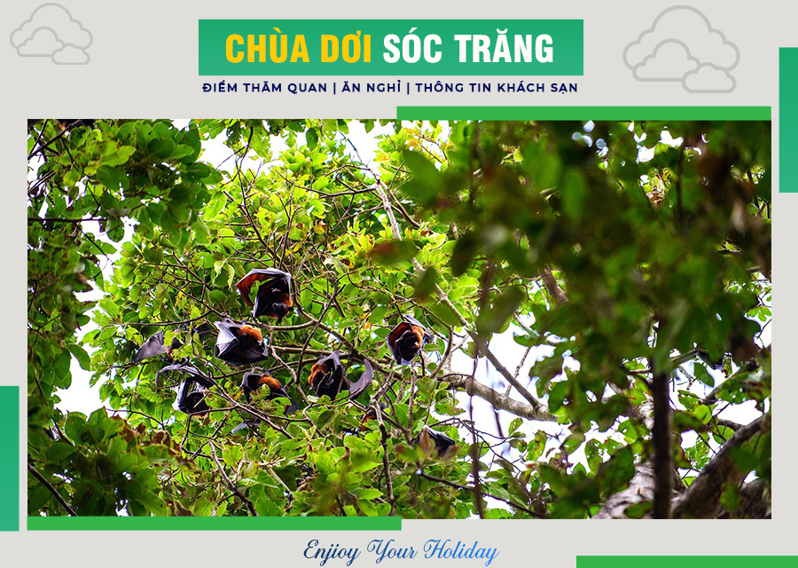 Chùa Dơi Sóc Trăng