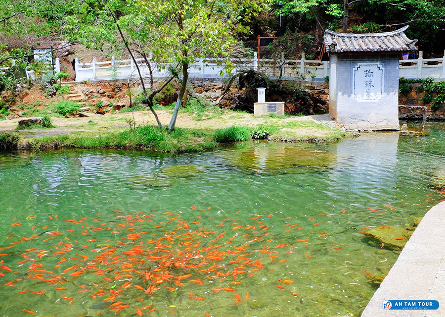 Công viên Hắc Long Đàm