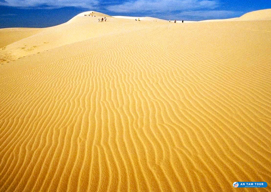 Đồi cát Phương Mai