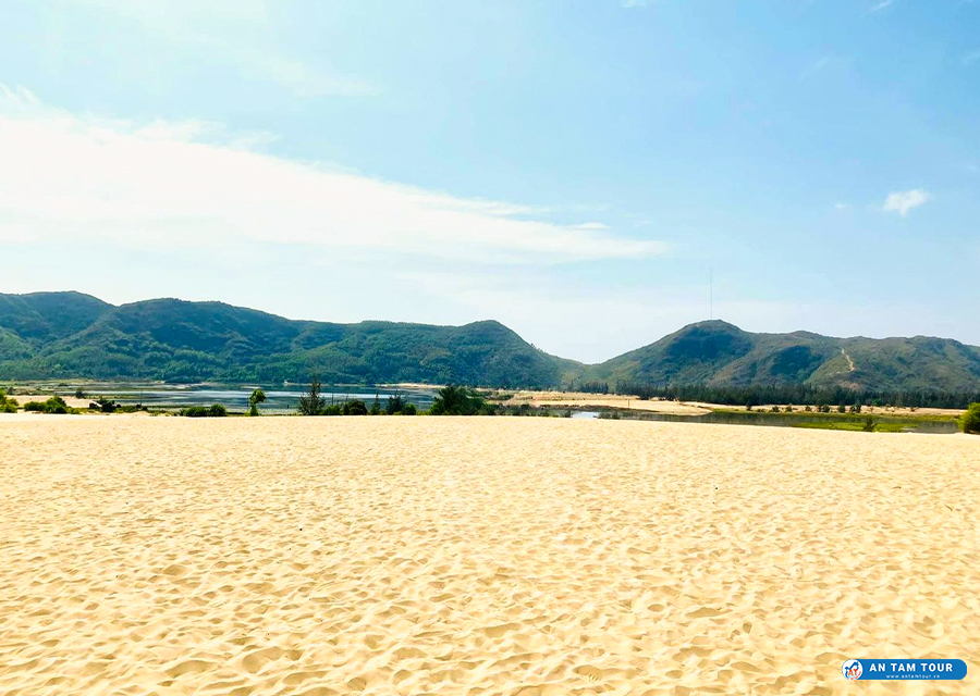 Đồi cát Phương Mai