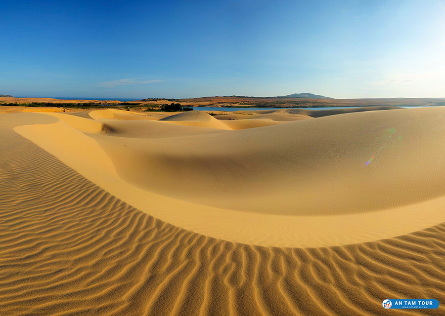 Đồi cát Phương Mai