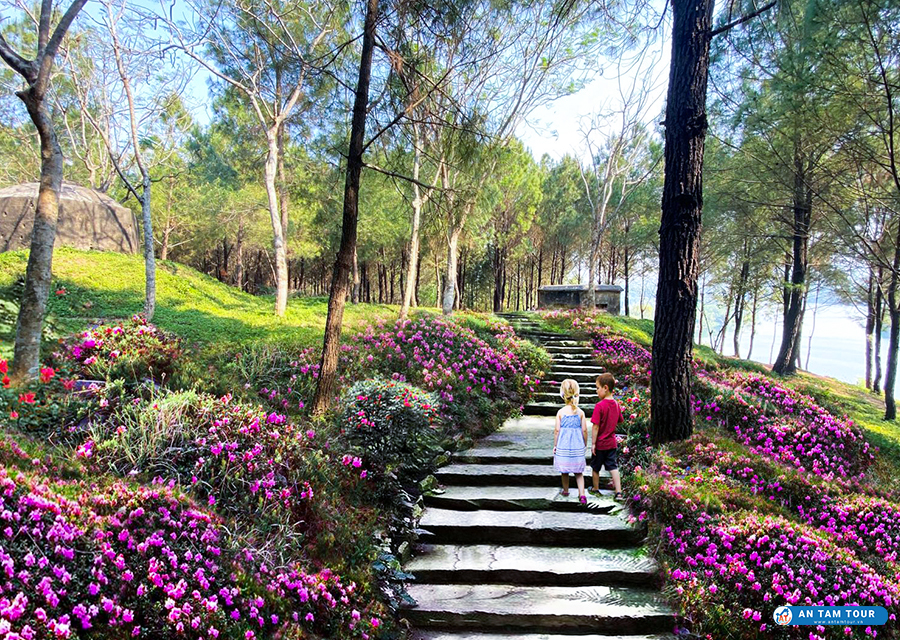 Đồi Vọng Cảnh