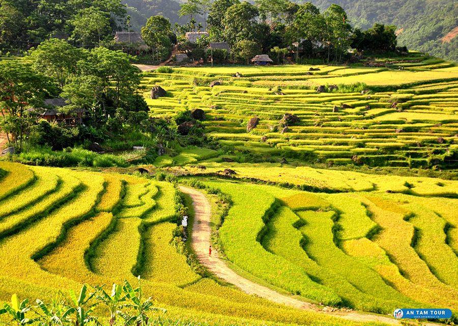 Pù Luông Retreat