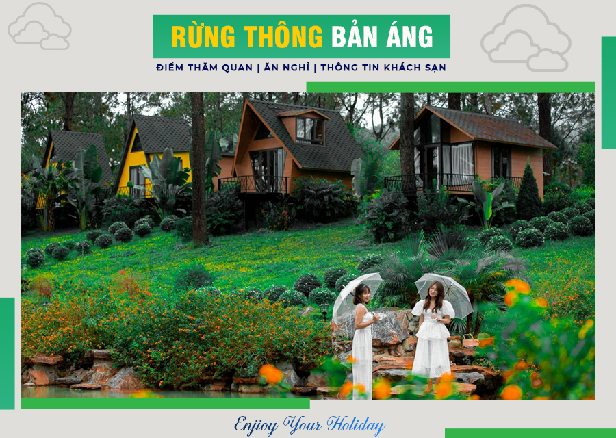 Rừng thông Bản Áng