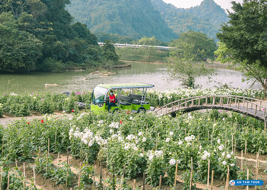 Thung Nham Ninh Bình