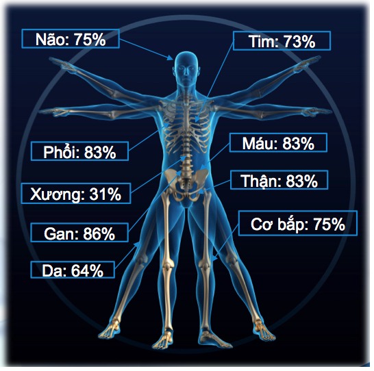 Tìm mua Viên uống tăng cường thị lực Brain 3 vien-uong-tang-cuong-thi-luc-brain