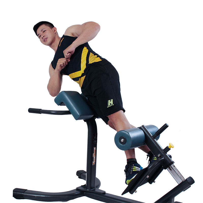 Ghế tập lưng/hông TGP-570