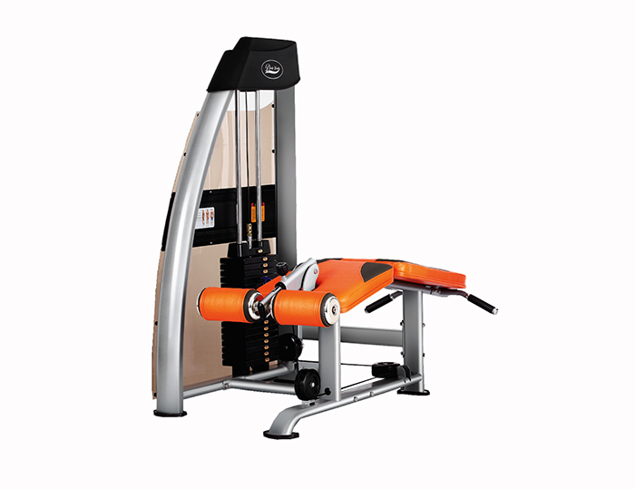 Máy móc đùi sau TG-140