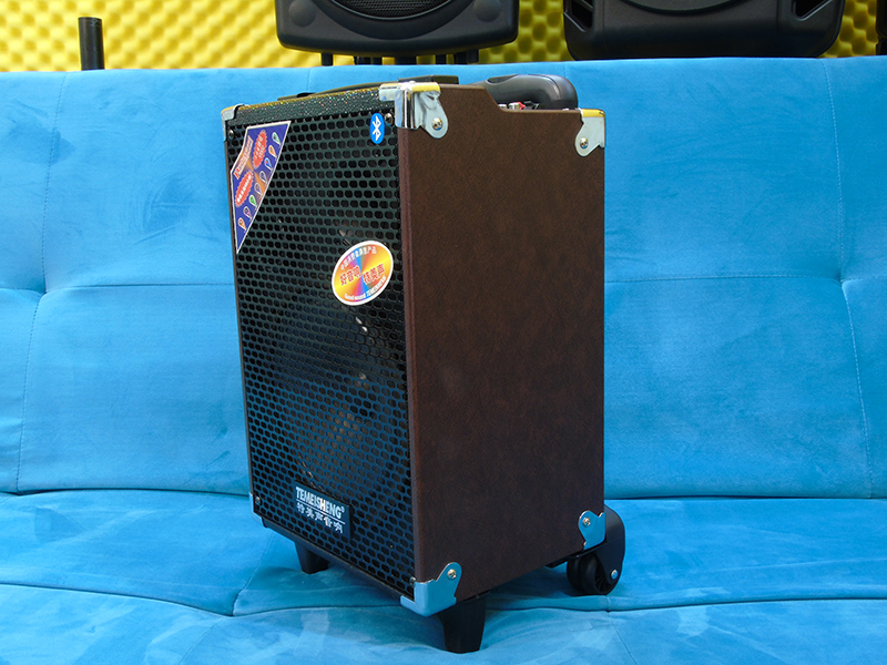 Loa kéo di động Temeisheng Q8S