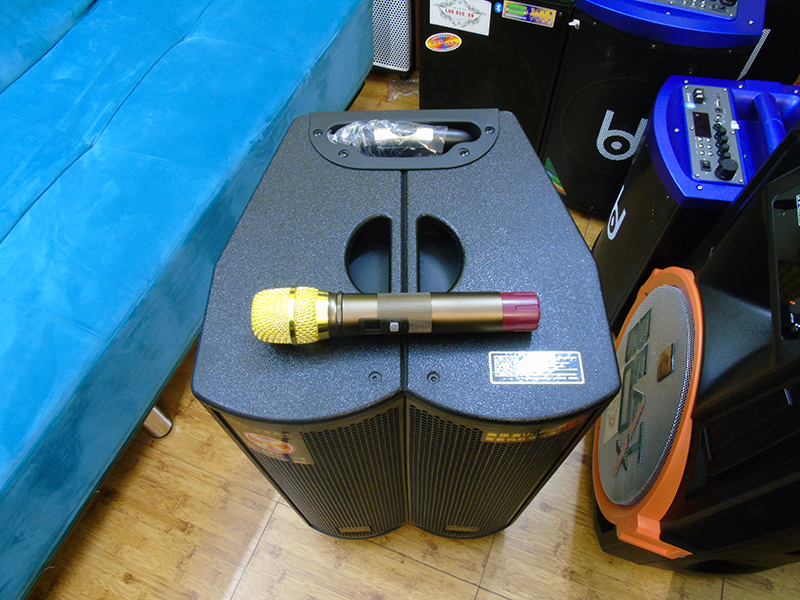 Loa kéo di động Temeisheng GD 12-07